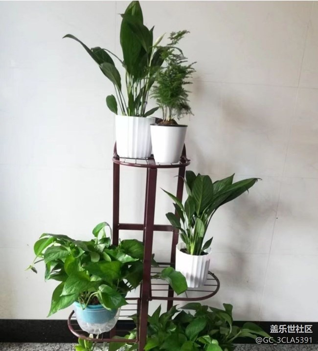 【2025你好】午后