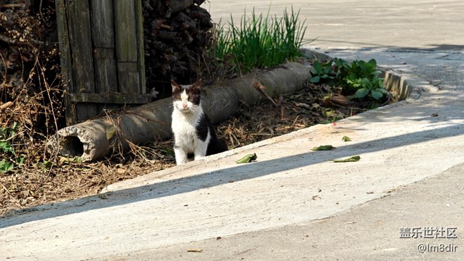 【上海星部落】#新年伊始——征途漫漫