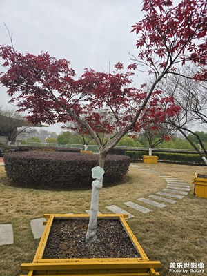 【回家路上】+路上的風(fēng)景