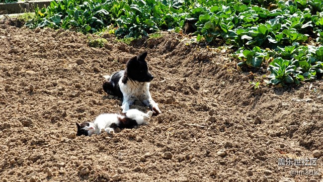 【上海星部落】#新年伊始——征途漫漫