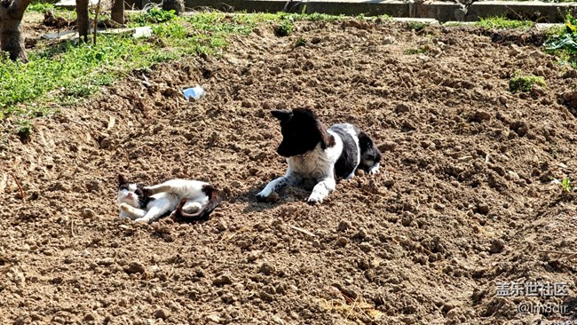 【上海星部落】#新年伊始——征途漫漫