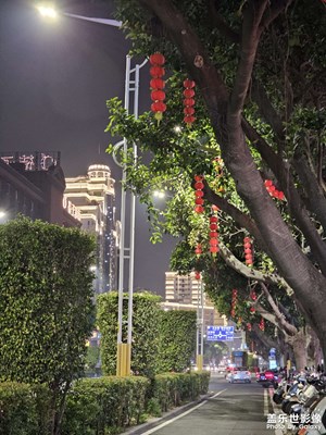 【回家路上】年味街景