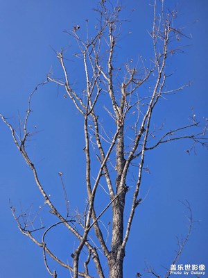 【回家路上】+天氣晴朗