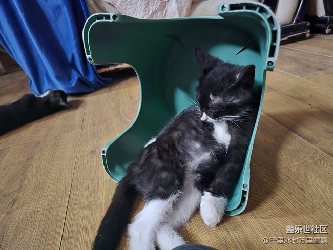 【新年到】悠閑自得