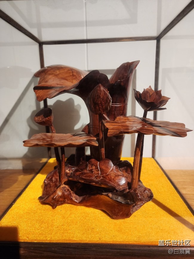 【新年到】栩栩如生 身臨其境