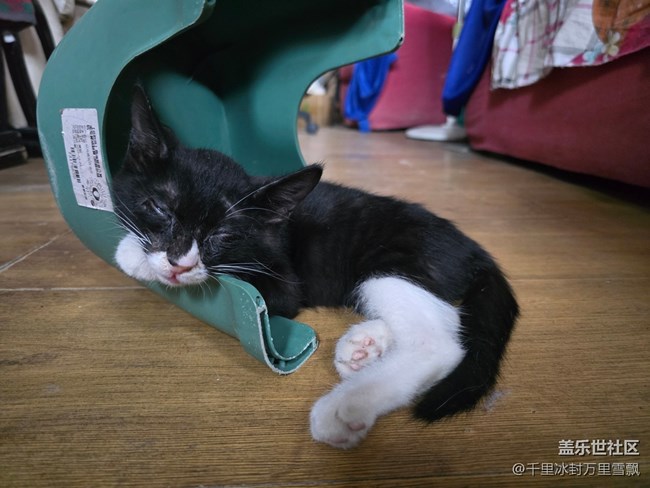 【新年到】悠閑自得