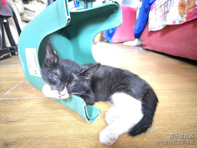 【新年到】悠閑自得