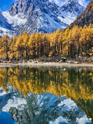 川西的秋天-畢棚溝