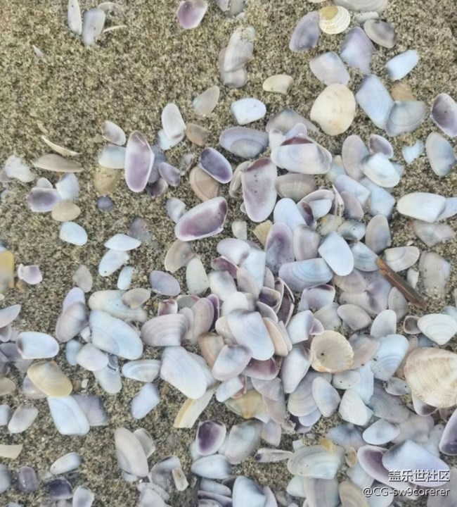 【2025你好】海灘