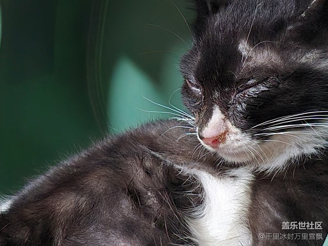 【新年到】悠閑自得