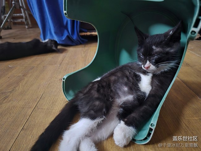 【新年到】悠閑自得