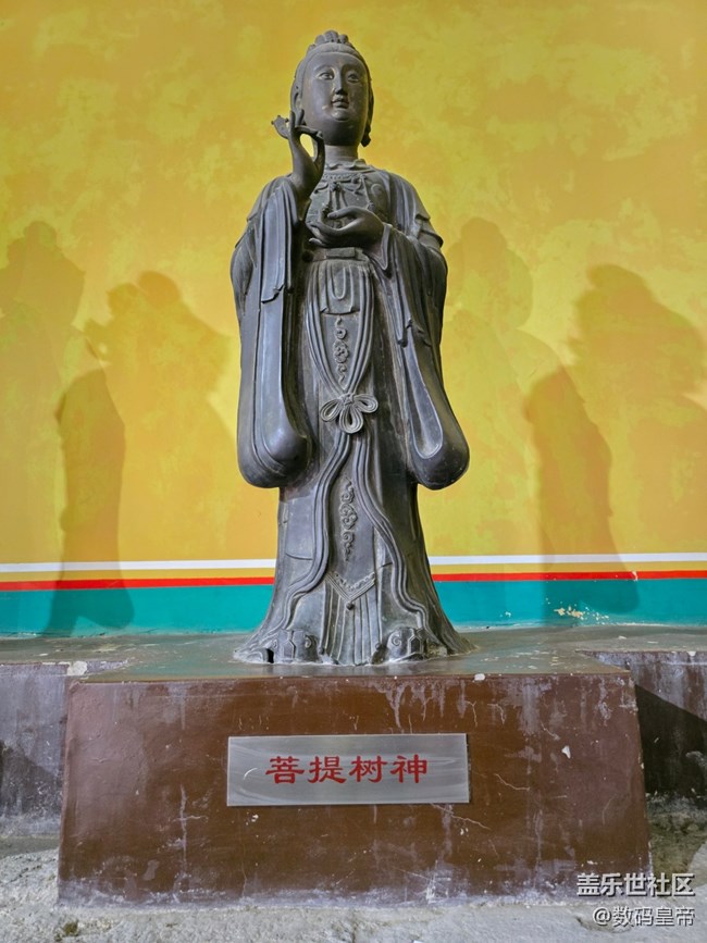 【新年到】許愿佛祖保佑你我