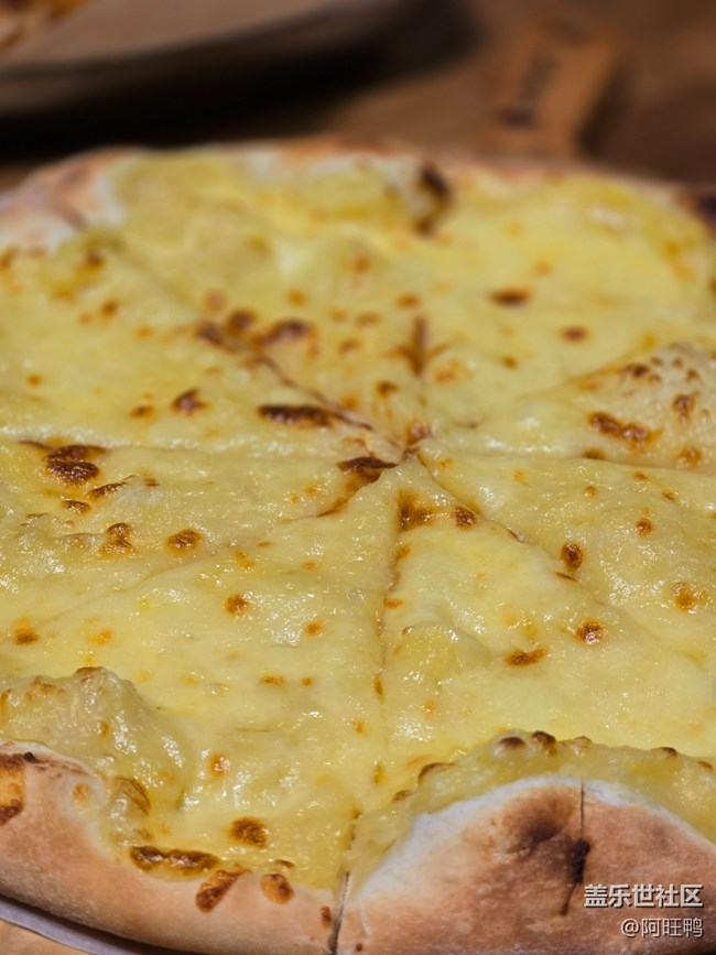 廈門星部落1月19號夕加線下攝影活動