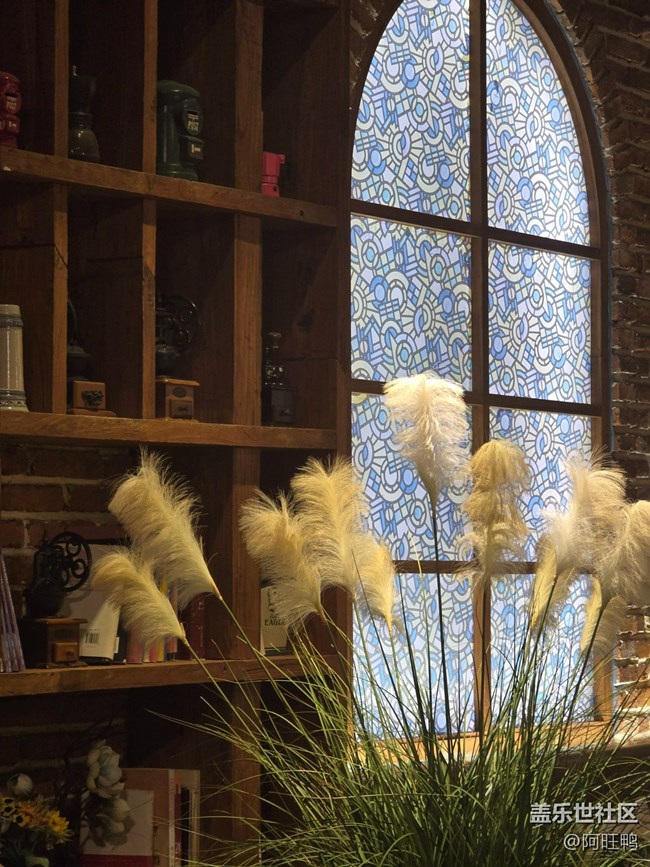 廈門星部落1月19號夕加線下攝影活動