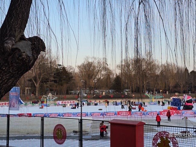 【新年到】紅紅火火過大年