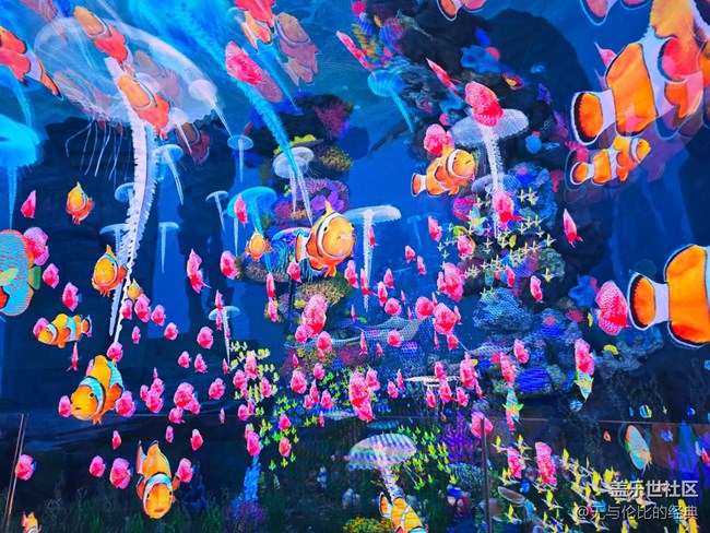 【新年到】祝福化作萬(wàn)千魚(yú)兒與水草
