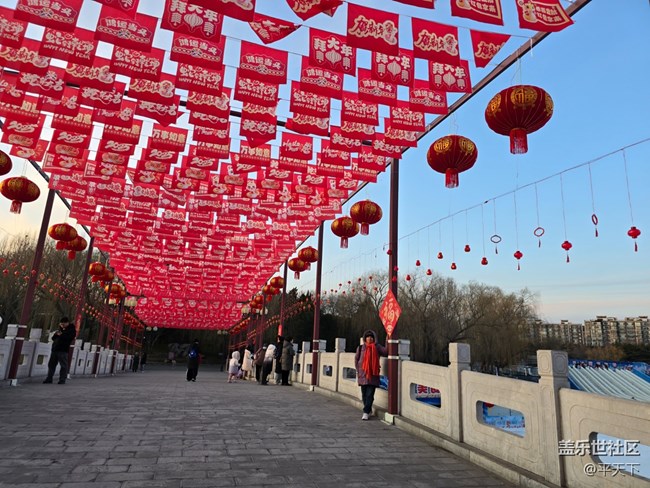 【新年到】靈蛇迎春