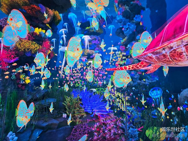 【新年到】祝?；魅f(wàn)千魚(yú)兒與水草