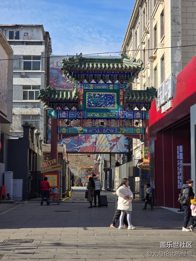 【新年到】郁金香花開