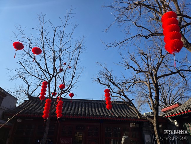 【新年到】老舍夫婦親自種下的柿子樹