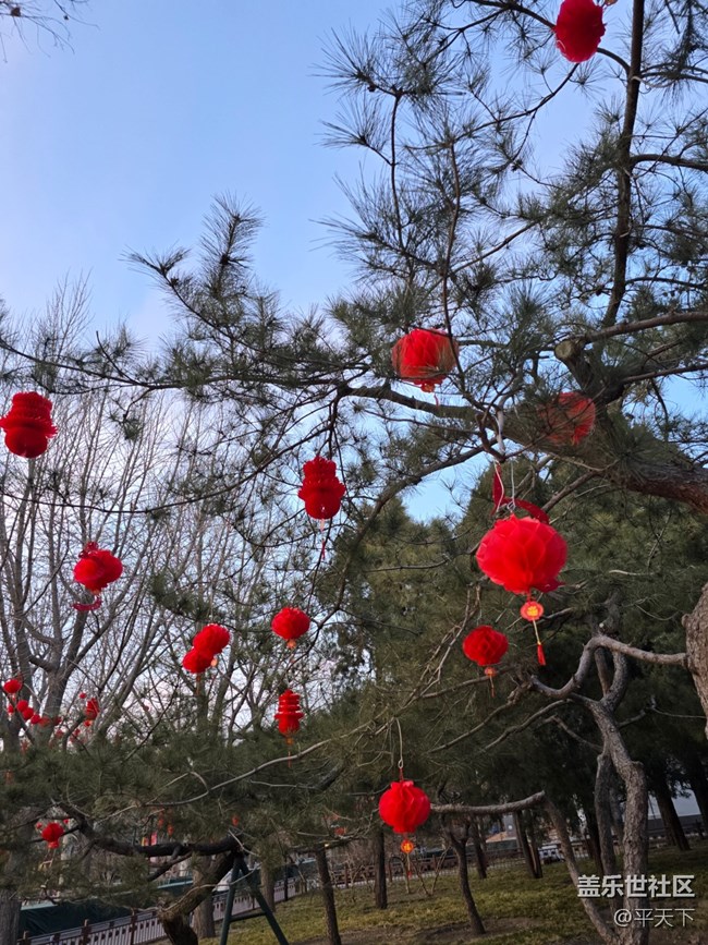 【新年到】大大小小紅燈籠