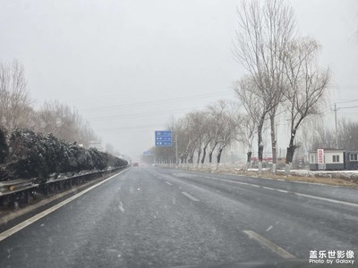 【金蛇轉(zhuǎn)好運(yùn)】+回家過年