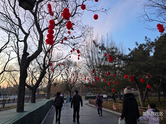 【新年到】大大小小紅燈籠