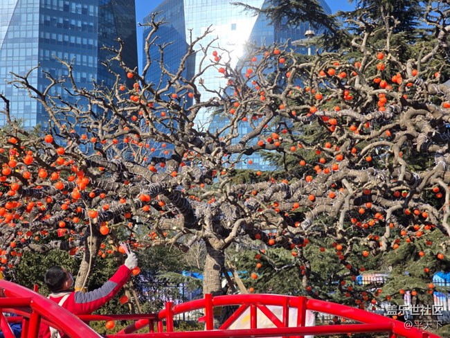 【新年到】新春大吉