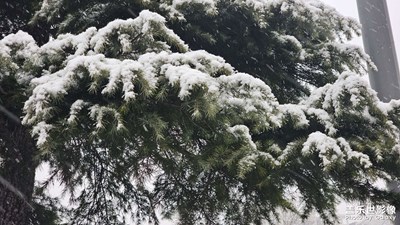 下雪啦