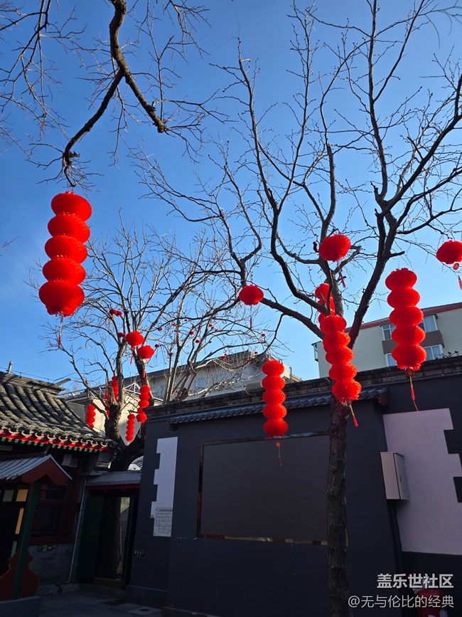 【新年到】老舍夫婦親自種下的柿子樹
