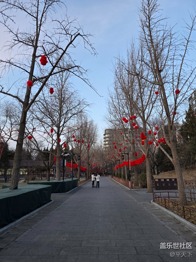 【新年到】大大小小紅燈籠