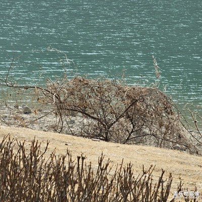 不知道好不好看