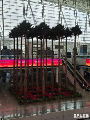 【回家路上】+ 廣州白云機場