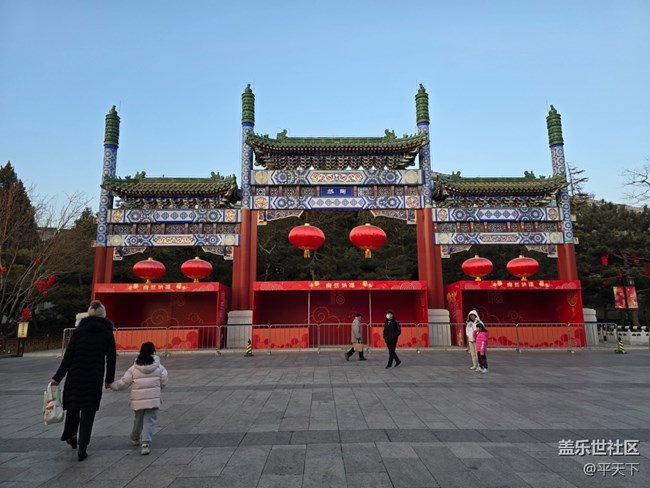 【新年到】大大小小紅燈籠