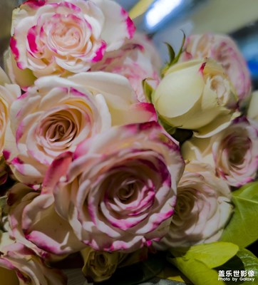 新春，S23U又戰(zhàn)一年