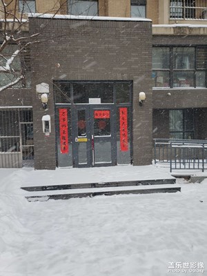 【金蛇轉運來】瑞雪