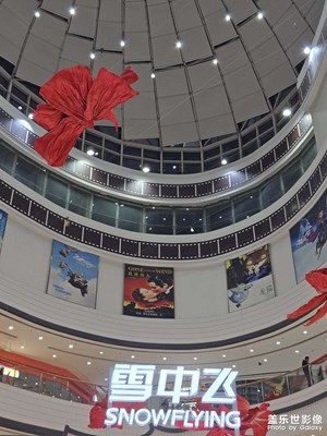 【回家路上】+回家路上雪中飛