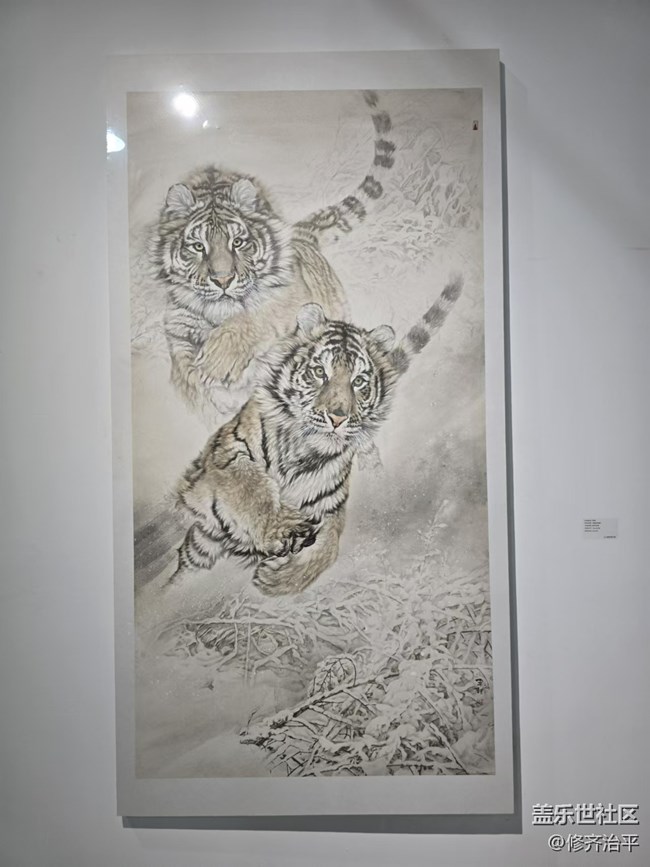 【新年到】彩墨山水老虎魚