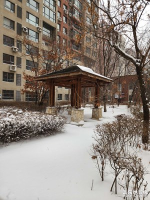 【金蛇轉(zhuǎn)運(yùn)來】蛇來運(yùn)轉(zhuǎn)