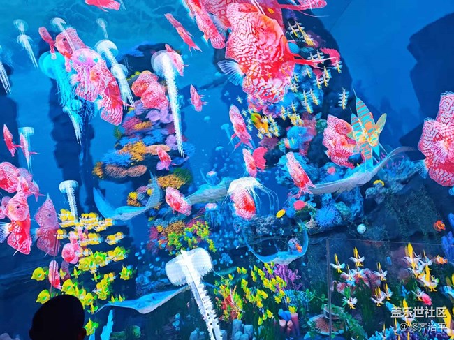 【新年到】未來的北京