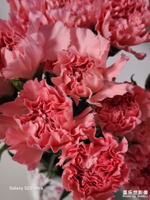 春節(jié)趣事 新春快樂