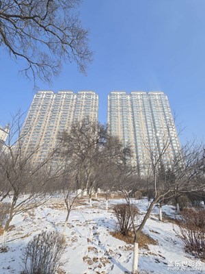 【金蛇轉(zhuǎn)好運】公園轉(zhuǎn)轉(zhuǎn)