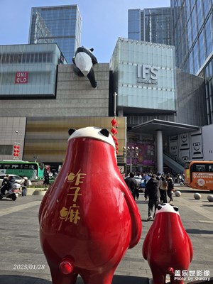 【春節(jié)趣事】一堆熊貓慶新年