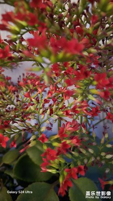 除夕