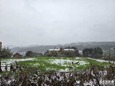【金蛇轉(zhuǎn)好運】下雪啦