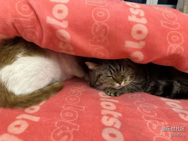 【身邊的年味】