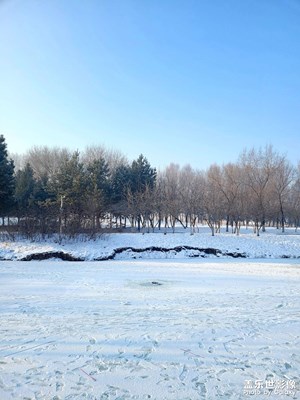 【金蛇轉(zhuǎn)好運(yùn)】逛公園