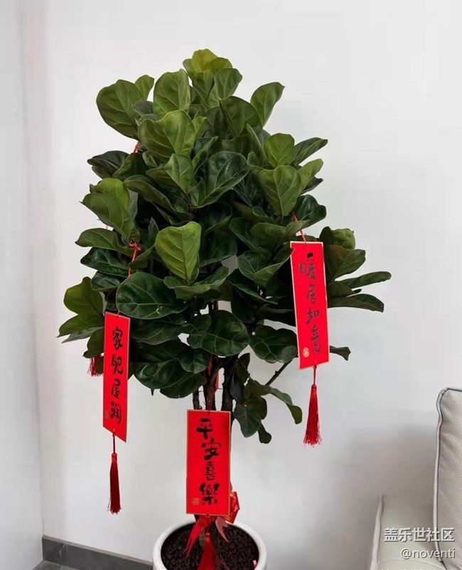 【我家鄉(xiāng)的春節(jié)】新年住新房