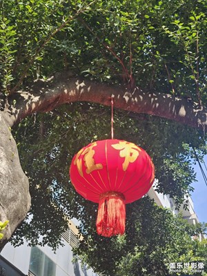 【金蛇轉(zhuǎn)好運】紅燈籠