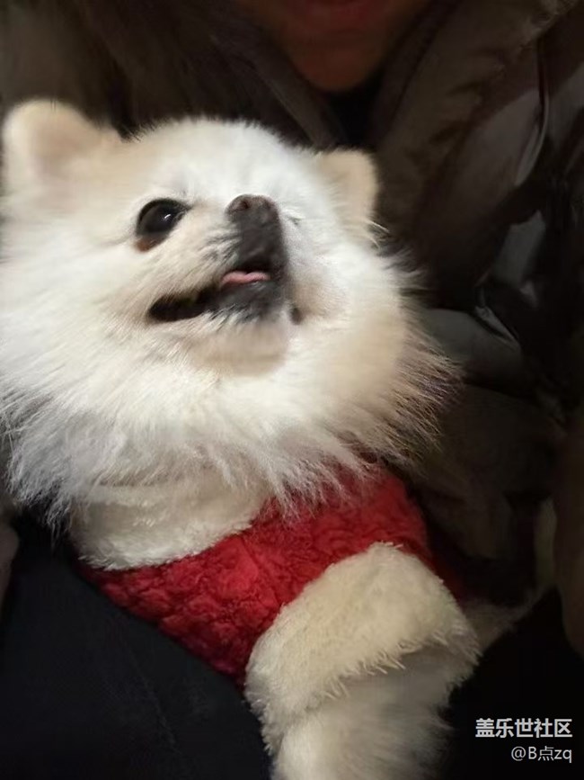 【身邊的年味】